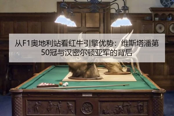 cong-ao-di-li-zhan-kan-hong-niu-yin-qing-you-shi-wei-si-ta-pan-di-guan-yu-han-mi-er-dun-ya-jun-de-bei-hou-3-491.jpg