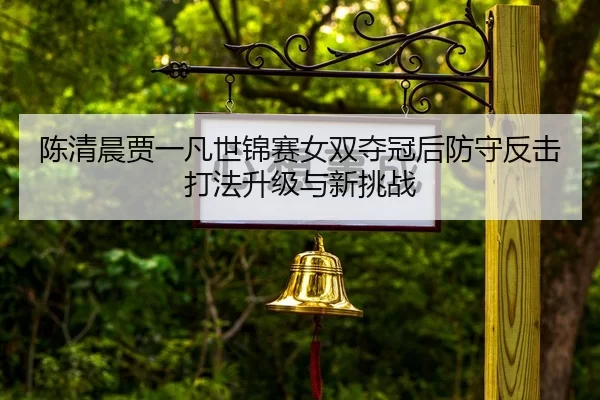 陈清晨贾一凡世锦赛女双夺冠后防守反击打法升级与新挑战
