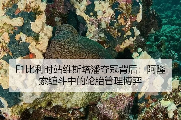 bi-li-shi-zhan-wei-si-ta-pan-duo-guan-bei-hou-a-long-suo-chan-dou-zhong-de-lun-tai-guan-li-bo-yi-3-240.jpg